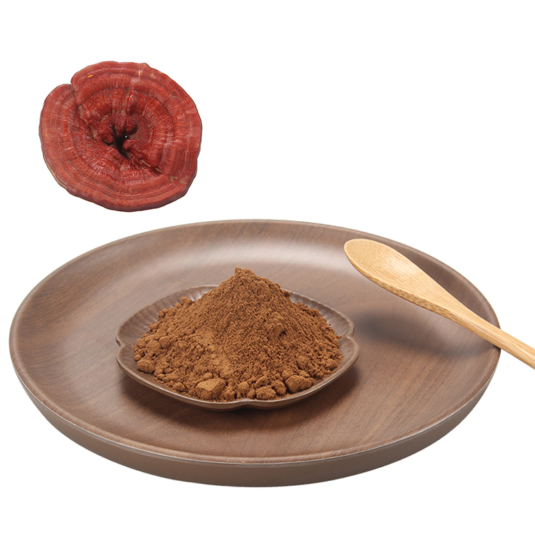 What Makes Our Reishi Mushroom Extract Truly Organic